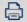 icon_PDF_Drucken